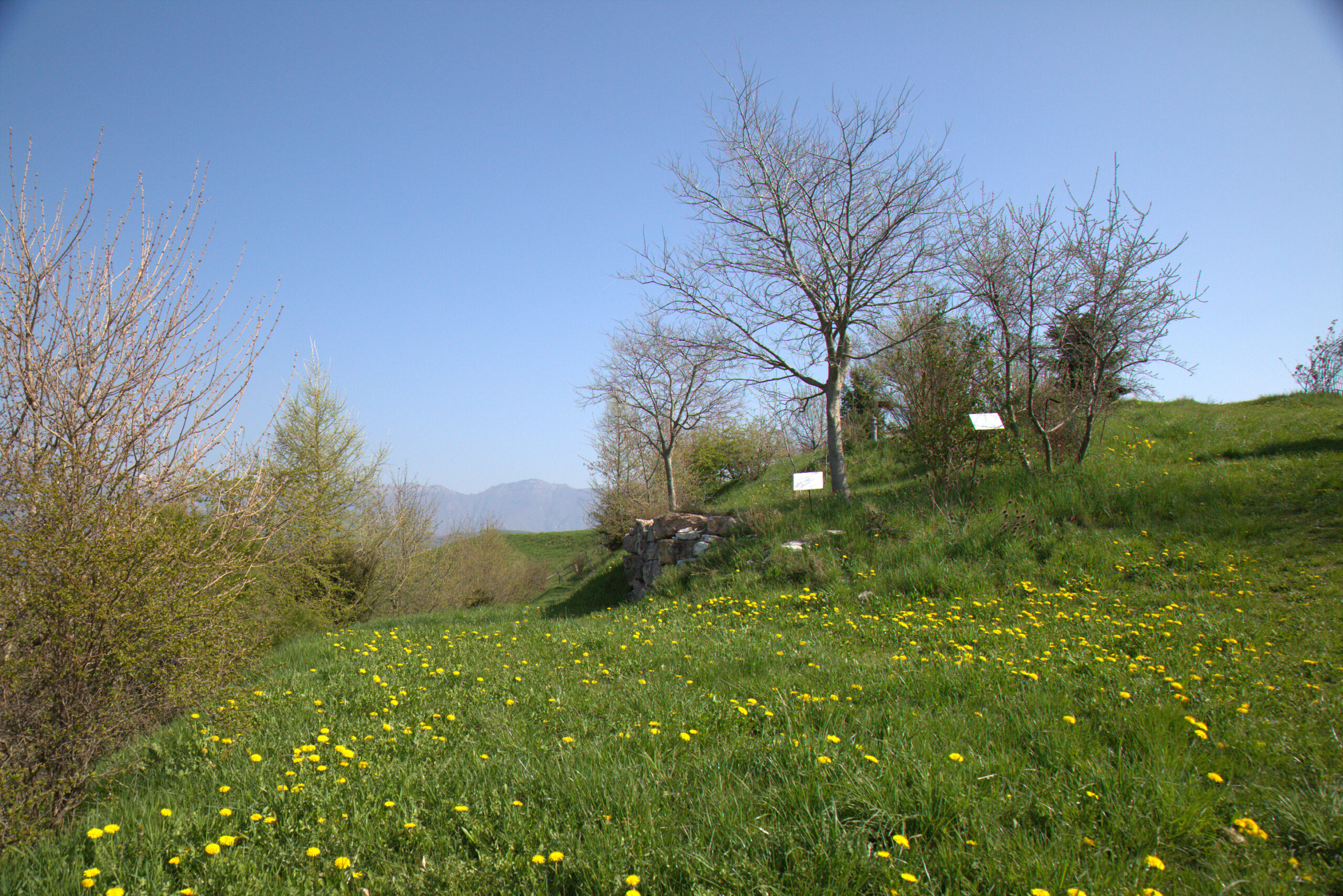 la nostra mission